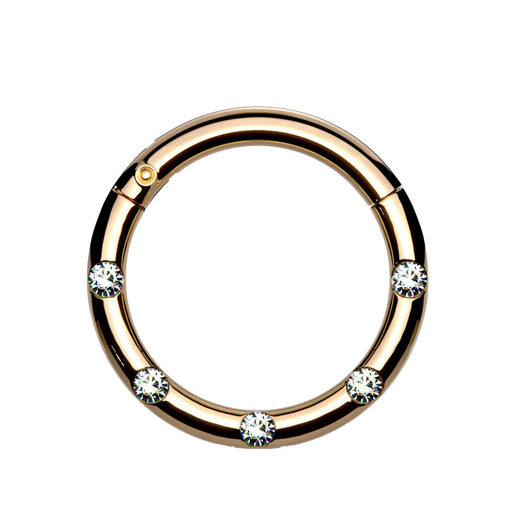 Hinged Segment Hoop Rings with 5 Flush Set Front Facing Petite Crystals