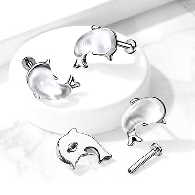 Flat Back Studsfor Labret Monroe Cartilage Whale design