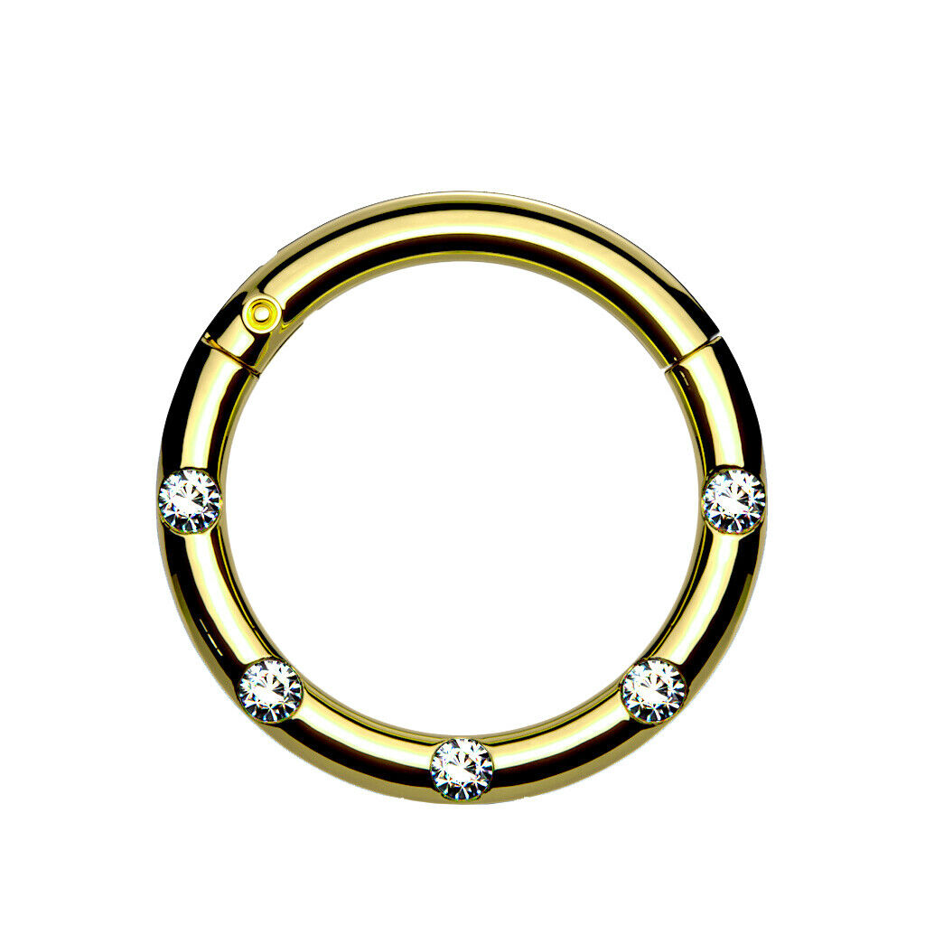 Hinged Segment Hoop Rings with 5 Flush Set Front Facing Petite Crystals
