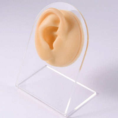 Soft Silicone Flexible Model Body Part Displays Set for Piercings - Sold Individually