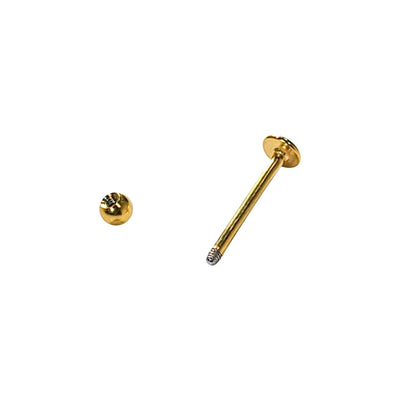 Ion Gold Plated Surgical Steel Labret Flatback Ear Stud Cartilage 16g 12mm
