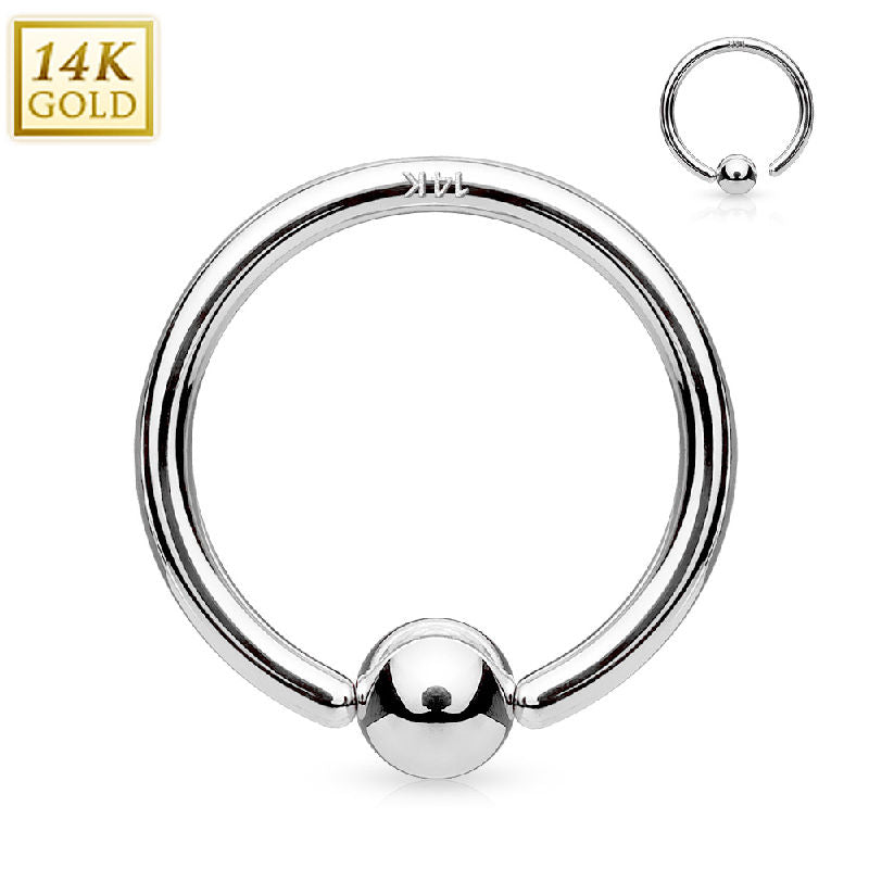 Hoop Ring 14K Solid White Gold and Yellow Gold with Fixed Ball Nose Ring Nipple