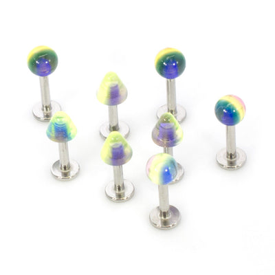 Labret Stud 6 Pack Multi-Colored Assortment 14G Tragus Lip Monroe